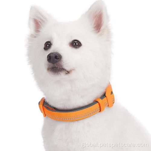 Designer Dog Collar Adjustble Nylon Dog Collars Custom Training Dog Collar Factory